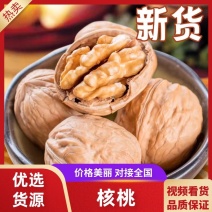 【礼品纸皮核桃】新货供应保质保量健康美味视频看货