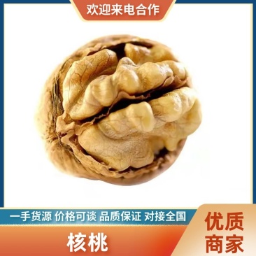 【纸皮晋龙核桃】山西核桃颗粒饱满常年供应代发全国