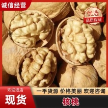 【实力热卖】精品纸皮核桃品质保证量大从优产地批发