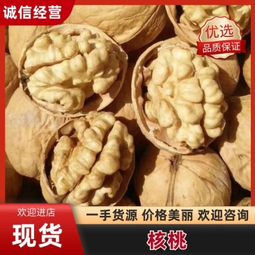 【实力热卖】精品纸皮核桃品质保证量大从优产地批发