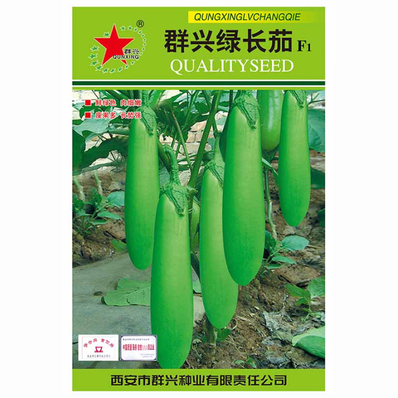 青皮茄子种子鲜绿色坐果多肉细嫩耐寒耐热早熟大田基