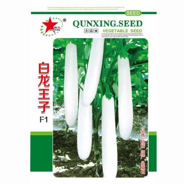长白茄子种子白龙王子口感绵软茄条洁白如玉早熟白茄