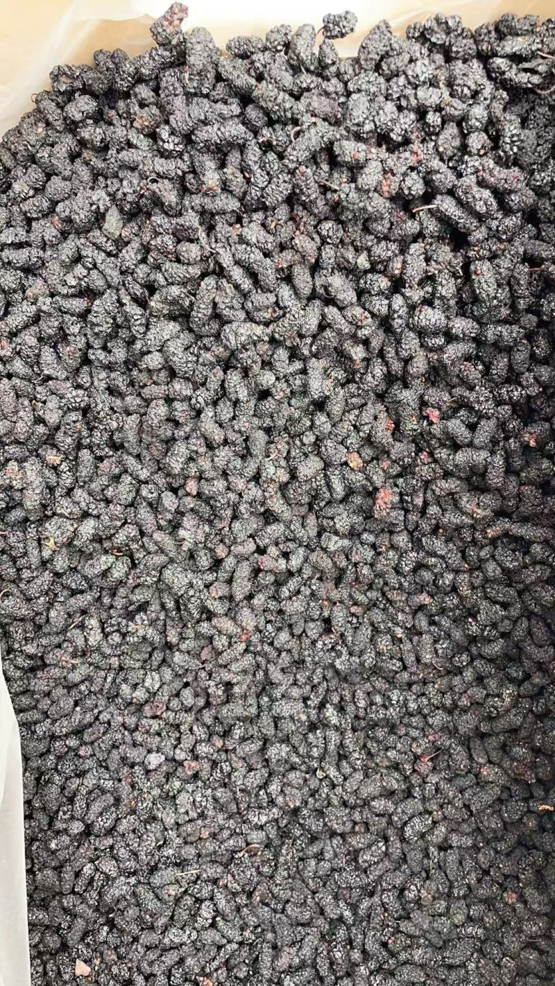 新疆桑葚干，精品桑葚干，肉美可口，欢迎前来选购