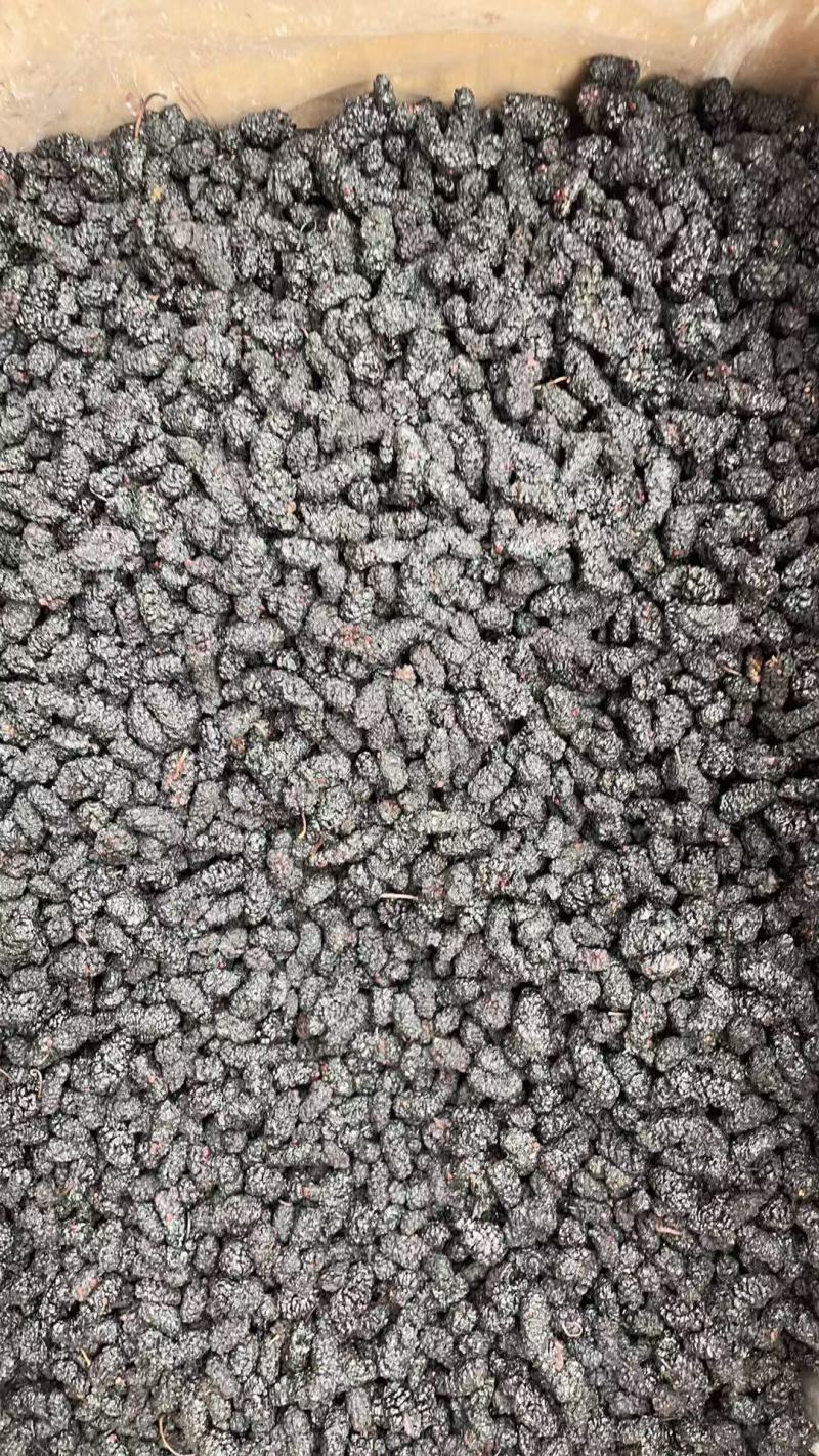 新疆桑葚干，精品桑葚干，肉美可口，欢迎前来选购