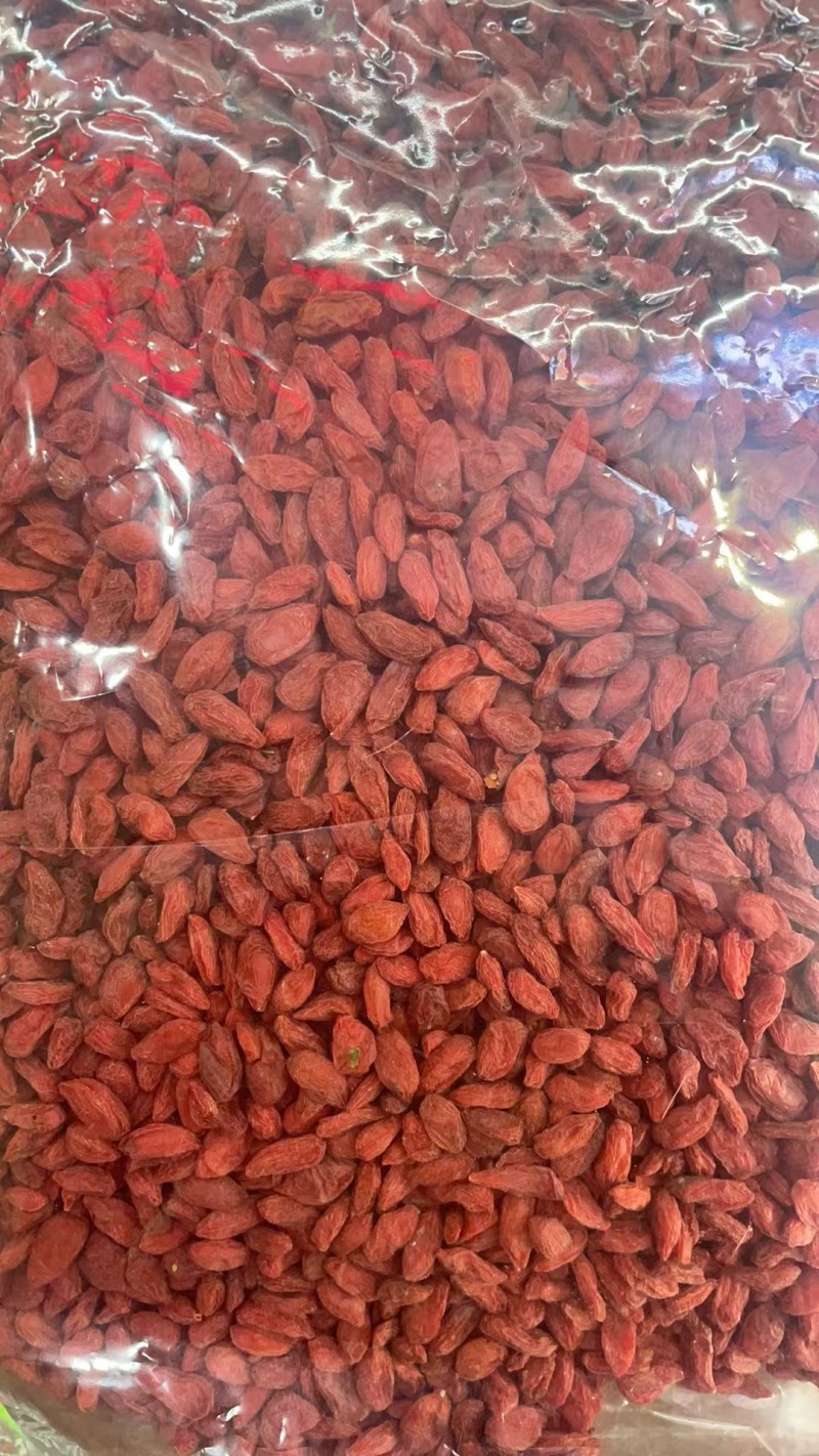 精品红枸杞，新疆红枸杞，欢迎各位老板前来选购