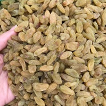 精品新疆葡萄干，肉质鲜美，保质保量，欢迎选购
