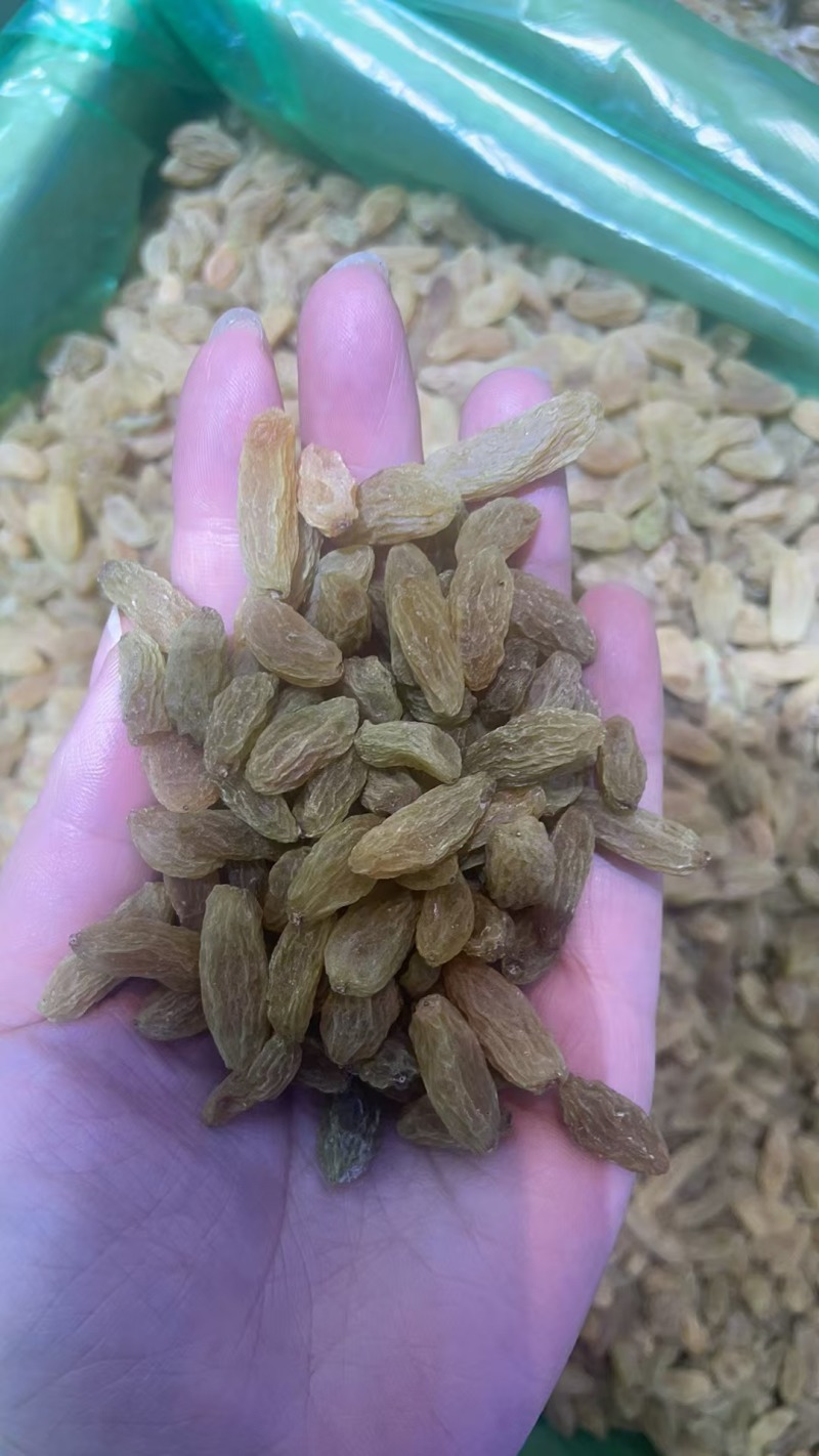 精品新疆葡萄干，肉质鲜美，保质保量，欢迎选购