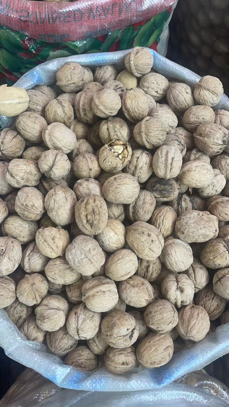 新疆精品核桃，皮薄肉厚，欢迎各位老板前来选购