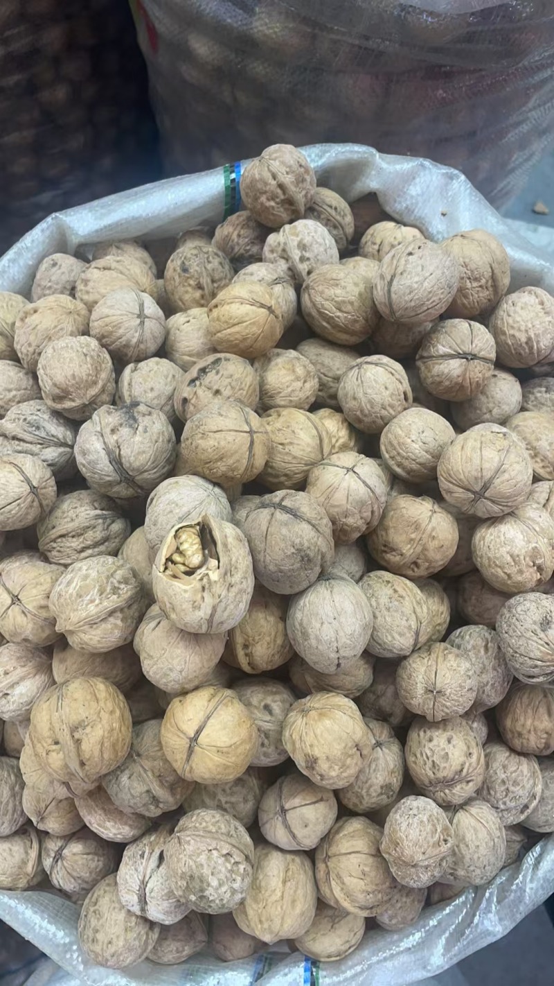 新疆精品核桃，皮薄肉厚，欢迎各位老板前来选购