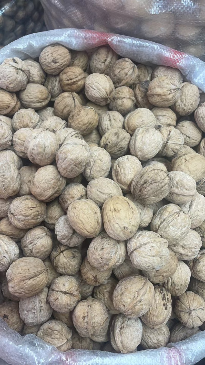 新疆精品核桃，皮薄肉厚，欢迎各位老板前来选购