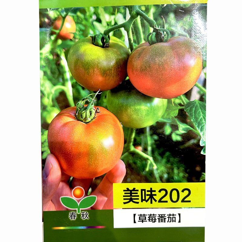 铁皮柿子种籽水果草莓番茄种子抗病脆油皮西红柿菜园甜心美味