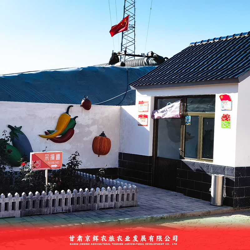 釜山88小番茄大量上市对接全国欢迎联系
