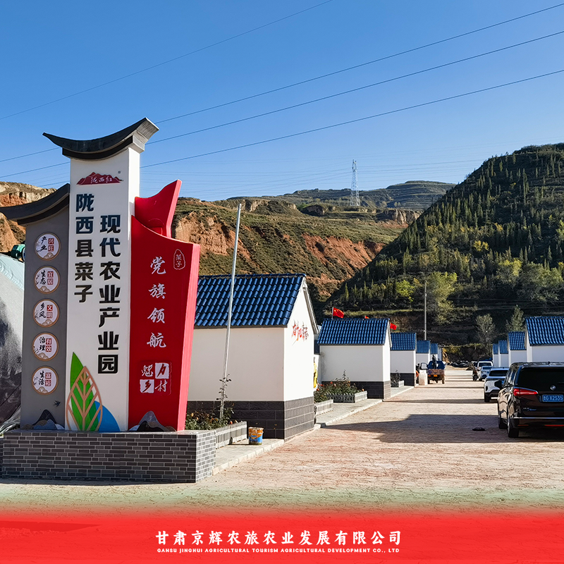 釜山88小番茄大量上市对接全国欢迎联系