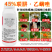 联苯肼酯乙螨唑抗性红蜘蛛虫卵双杀茶黄螨锈壁虱杀虫剂杀螨剂