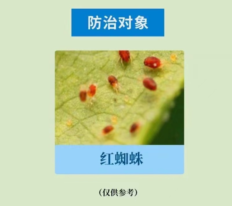 联苯肼酯乙螨唑抗性红蜘蛛虫卵双杀茶黄螨锈壁虱杀虫剂杀螨剂