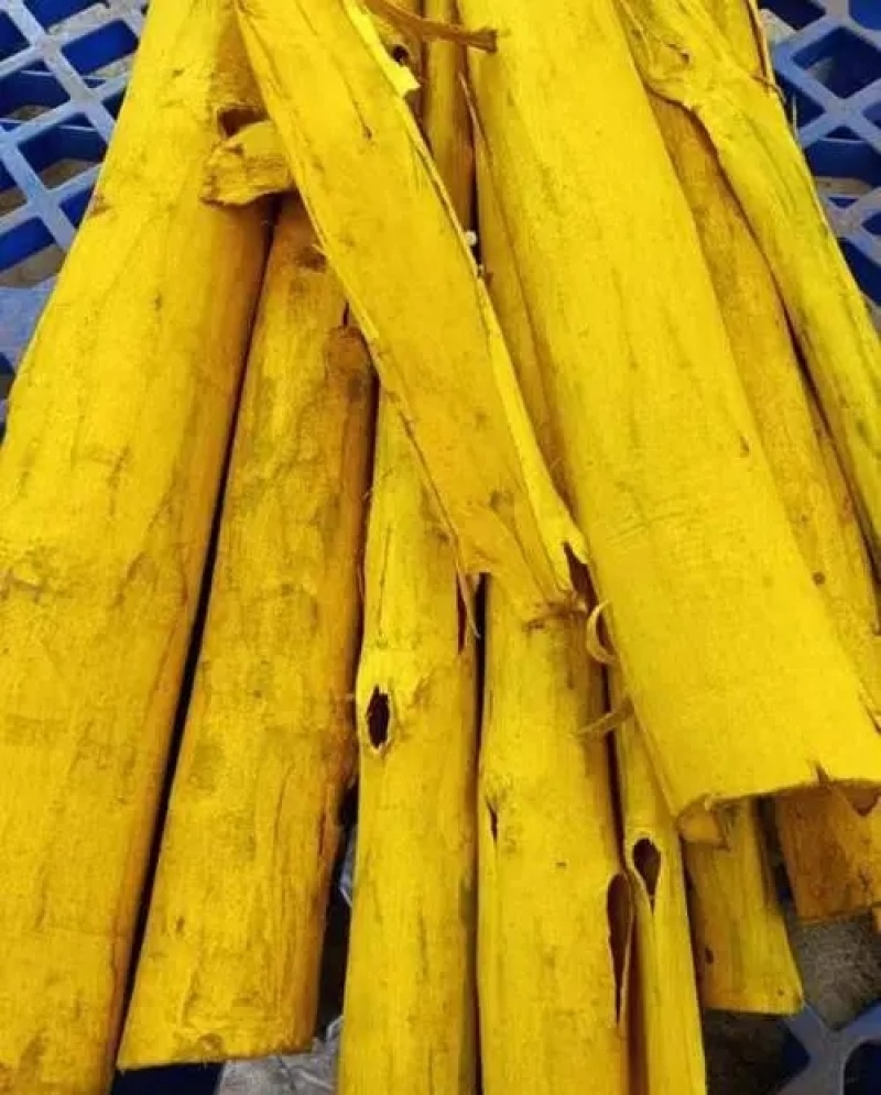 源头厂家黄柏粉超细粉新货现磨黄柏粉中药粉批发