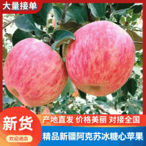 【实力商家】精品阿克苏糖心苹果产地发货新鲜采摘诚信经营