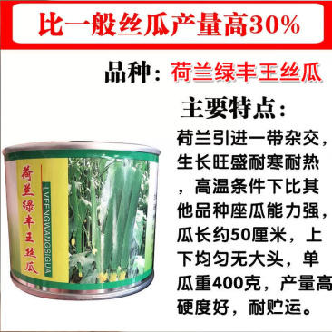 荷兰绿丰王丝瓜种子长丝瓜种籽耐寒耐热抗病高产特长丝瓜大田