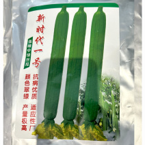新时代1号长丝瓜种子春夏种植翠绿光滑大面积育苗厂抗热
