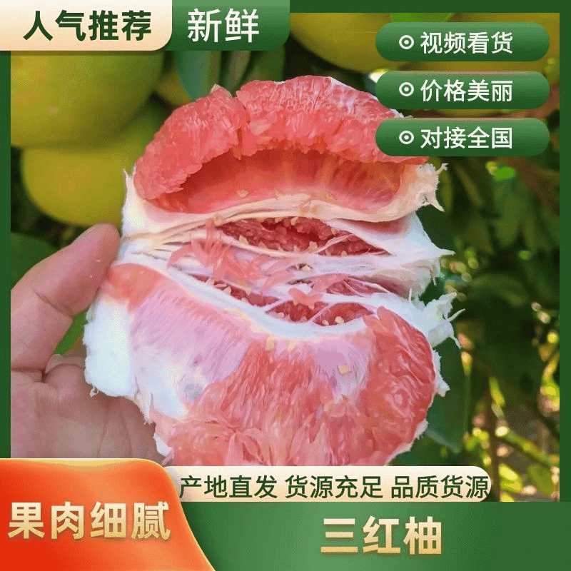 精品白柚红柚蜜柚皮薄多汁水分充足口感纯甜产地一手货源