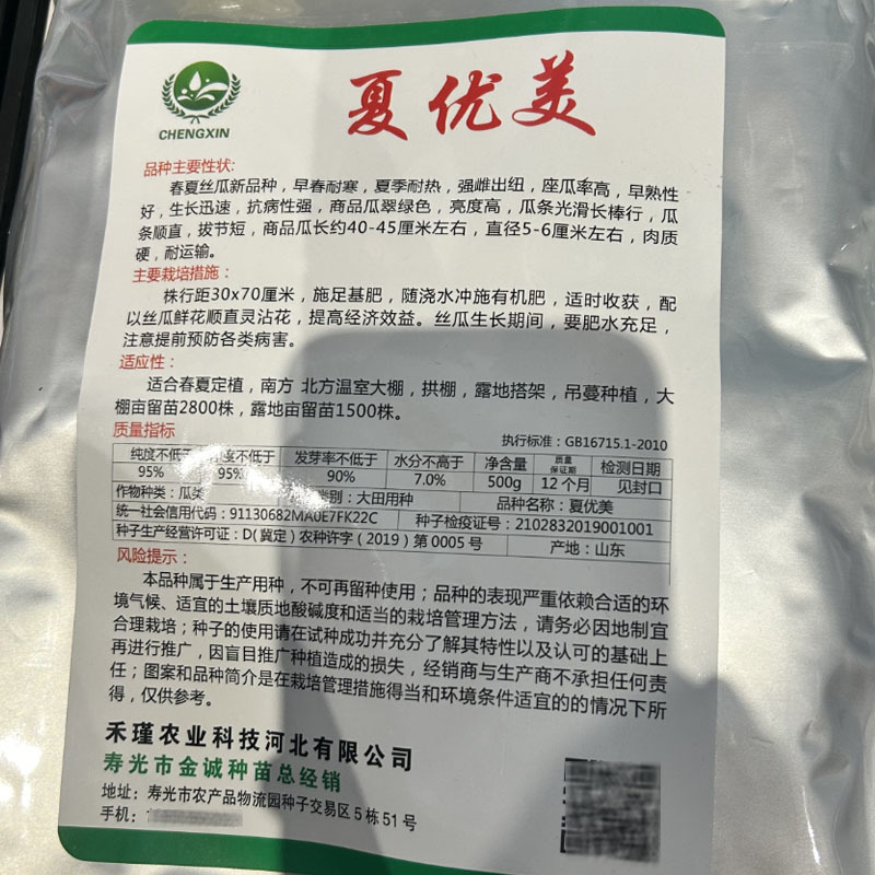 春夏优美丝瓜种子强雌出纽抗病高产春夏种植基地品种