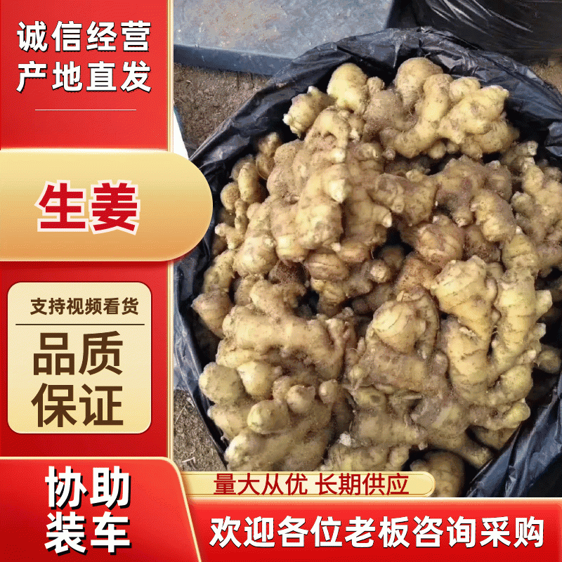 电商货-【生姜】（精品/风干姜/水洗姜/沙土姜）产地直发