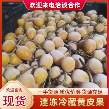 .现货：正宗广东郁南（速冻冷藏无核黄皮果）量大价格从优