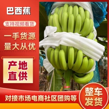 【精品】海南纯金黄巴西香蕉，产地直发质量保证（整车发货）