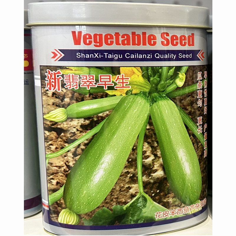 新翡翠早生西葫芦种子春夏秋四季播耐寒耐高温南北方早熟西葫