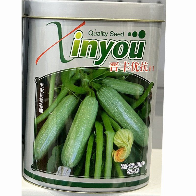 花皮笨西葫芦种子杂交早熟雌花多抗病高产特菜基地用种