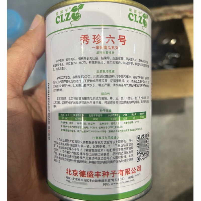 秀珍6号南瓜种子青翠一串铃小南瓜种子结瓜早座瓜率高基地