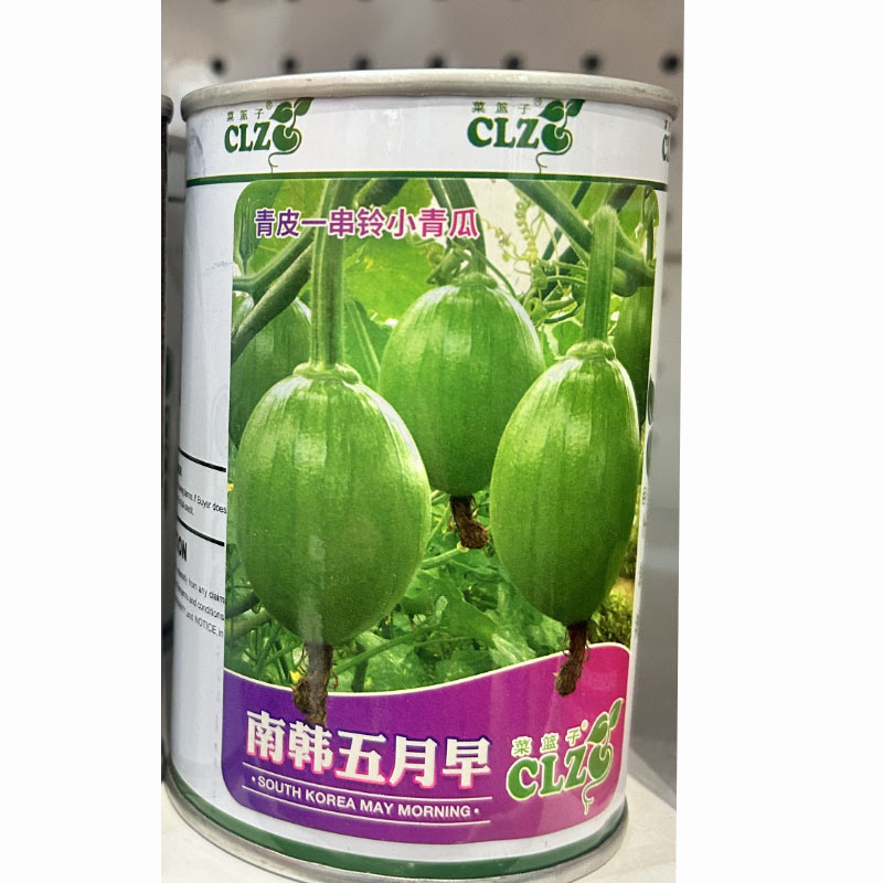 南韩五月早中早熟耐寒耐热春夏秋种植嫩瓜贵阳小青瓜