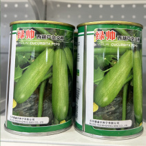 绿帅西葫芦种子高产抗毒病瓜型顺直葫芦瓜绿皮油绿耐热
