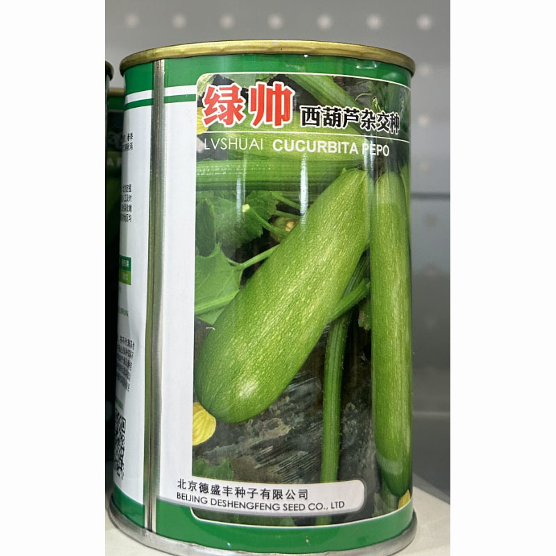 绿帅西葫芦种子高产抗毒病瓜型顺直葫芦瓜绿皮油绿耐热