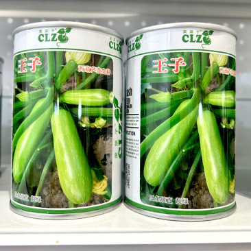 王子西葫芦种子杂交瓜条顺直靓绿油连续结瓜大田基地