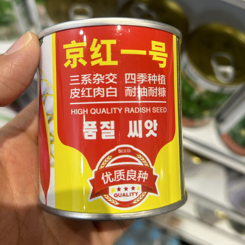 京红一号三系杂交红皮白肉耐抽苔耐糠心四季种植红萝