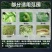 1.3%阿维高氯氟小菜蛾粘虫蚜虫蔬菜瓜果正品农药杀虫剂