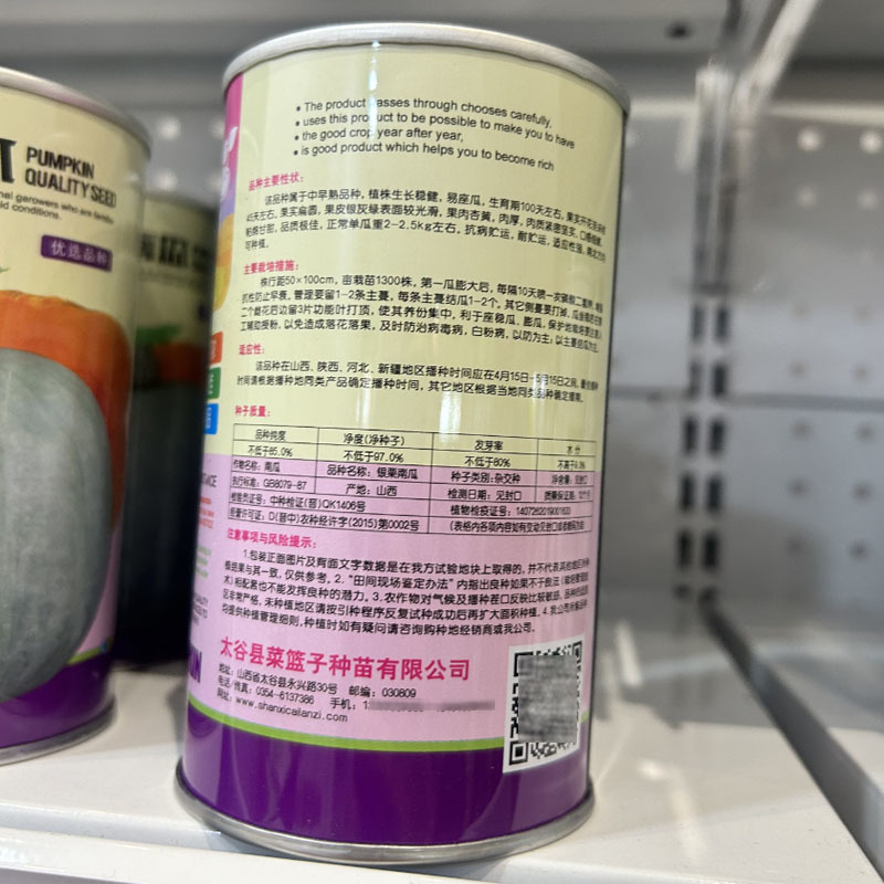 银栗南瓜种子中早熟易座果扁圆银灰色肉厚基地品种