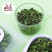 熊熊的茶屋四川薄荷叶干中药材新鲜食品级薄荷叶子泡茶泡水喝
