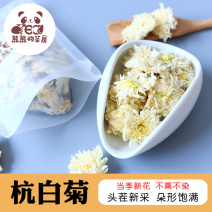 熊熊的茶屋正宗浙江桐乡杭白菊正品特玫瑰花陈皮泡