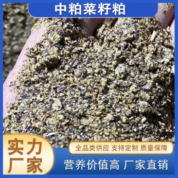 中国油厂菜粕直销