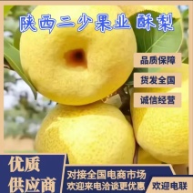 乾县甘河酥梨产地一手好货专业代收团队一条龙服务