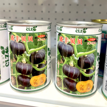 盛丰贝贝南瓜种子扁圆厚肉春秋播种迷你贝贝南瓜种子