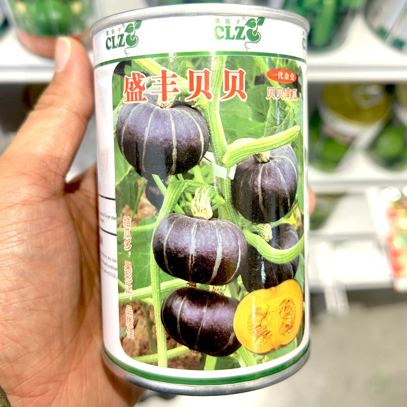 盛丰贝贝南瓜种子扁圆厚肉春秋播种迷你贝贝南瓜种子