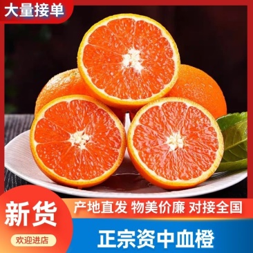 正中资中血橙，产地直发，物美廉价，欢迎致电