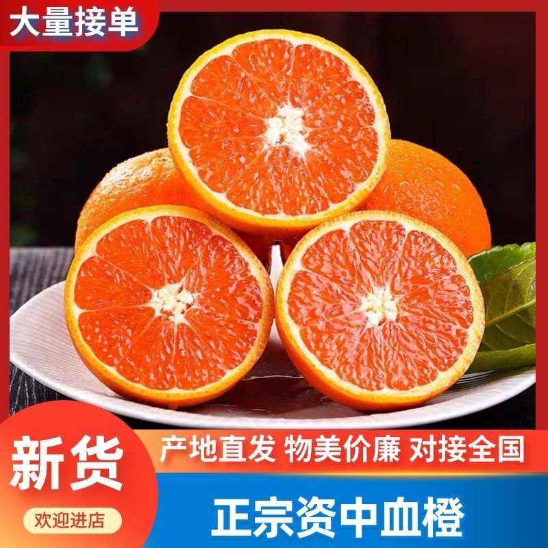 正中资中血橙，产地直发，物美廉价，欢迎致电