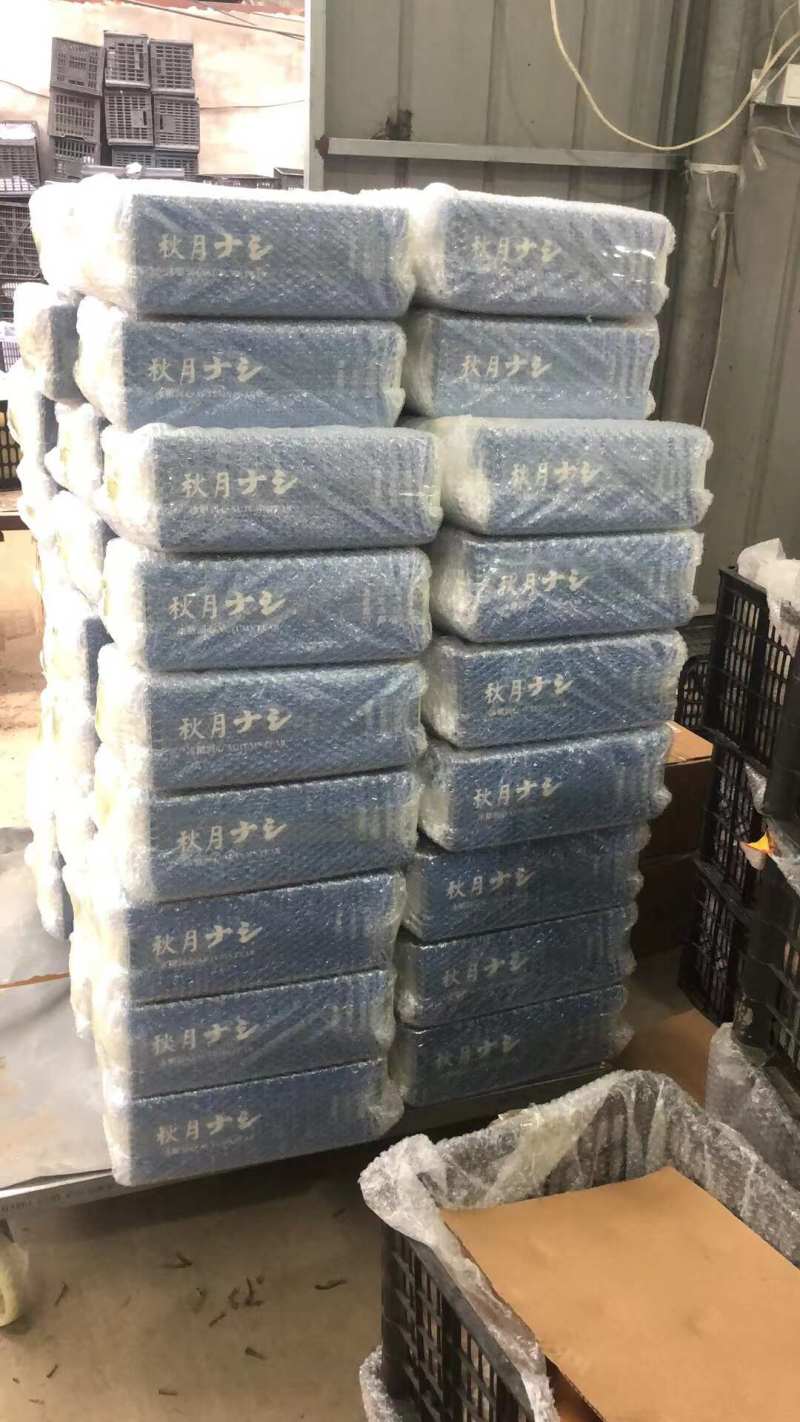 山东莱阳秋月梨一件代发产地直发一手货源对接各大电商平台
