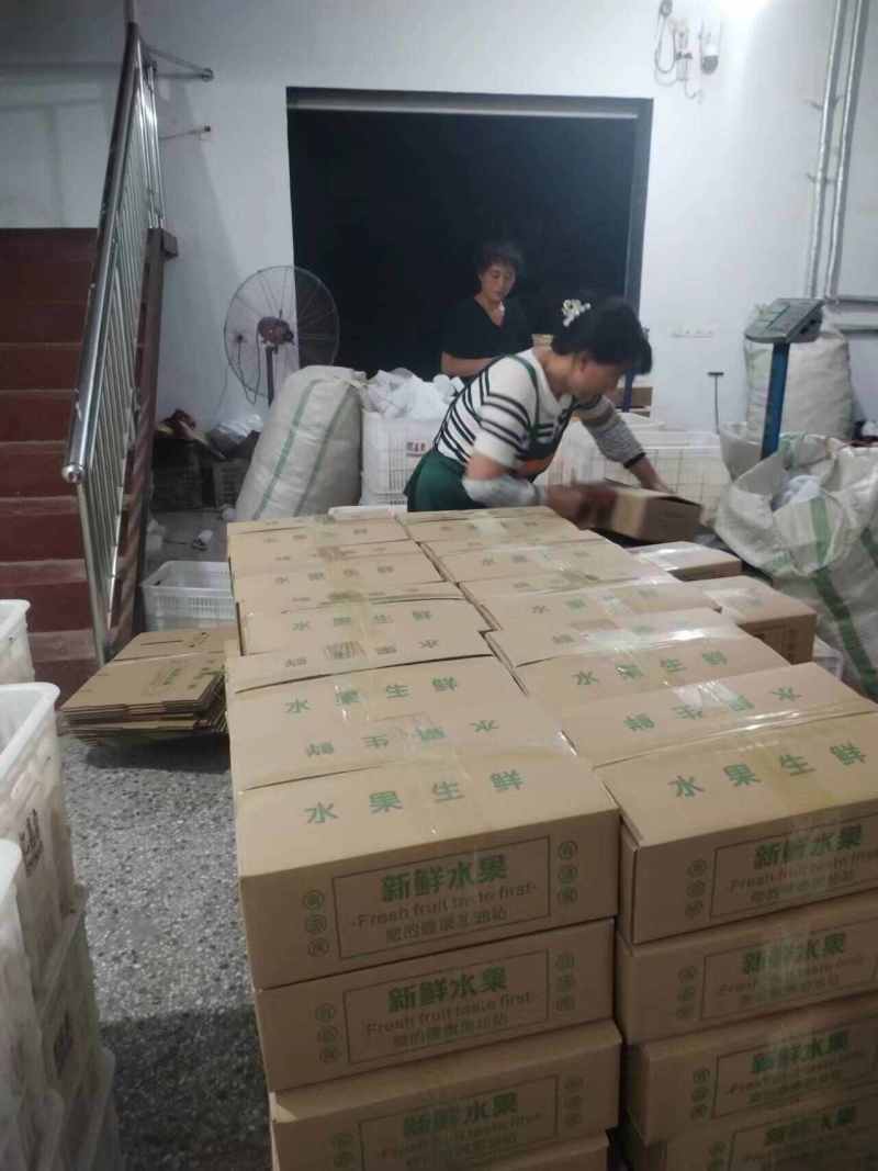 山东莱阳秋月梨一件代发产地直发一手货源对接各大电商平台
