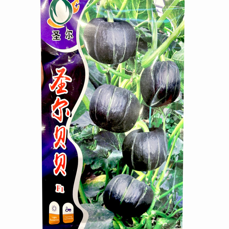 贝贝南瓜种子墨绿色易坐果肉橙黄色细粉甜糯大田基地种