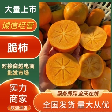 柿子陕西阳丰甜柿大量上市个头大口感好欢迎来电咨询